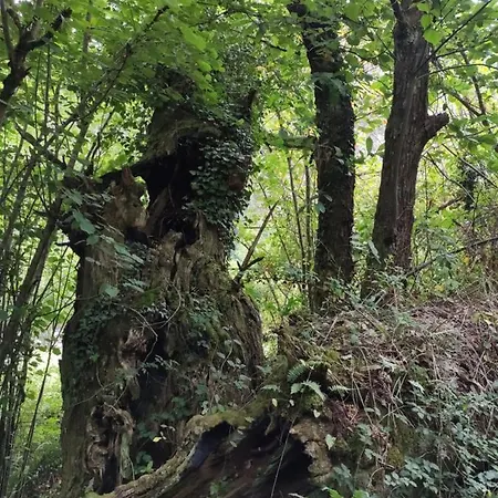 Apartmán Aguas Del Sella